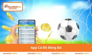 App cá độ bóng đá