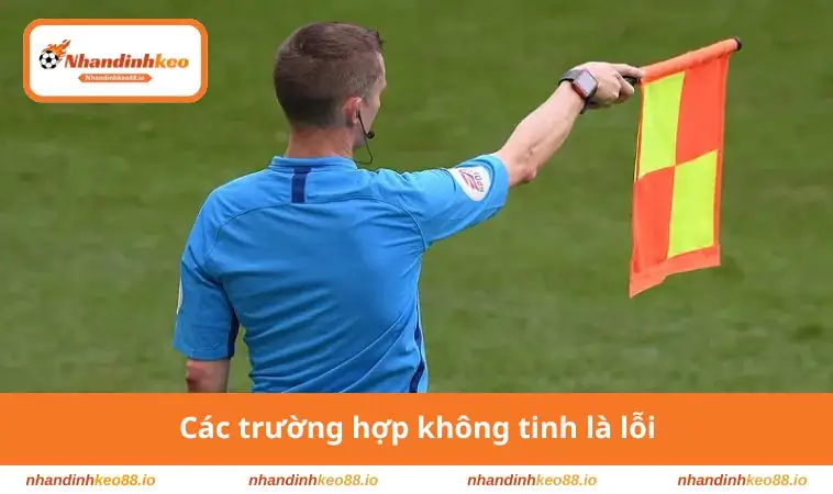 Các trường hợp không tinh lỗi