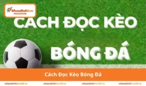 Cách đọc kèo bóng đá