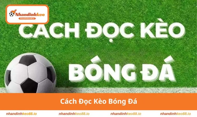 Cách đọc kèo bóng đá