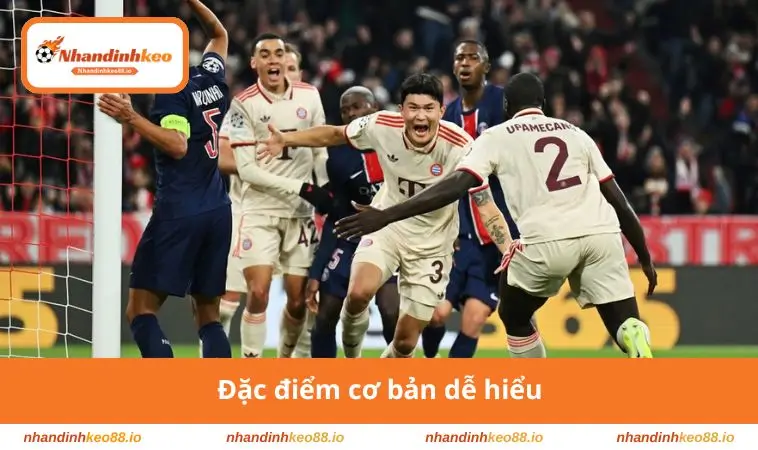 Đặc điểm cơ bản dễ hiểu