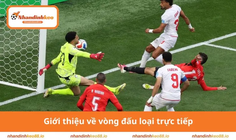 Giới thiệu vòng đá loại trực tiếp