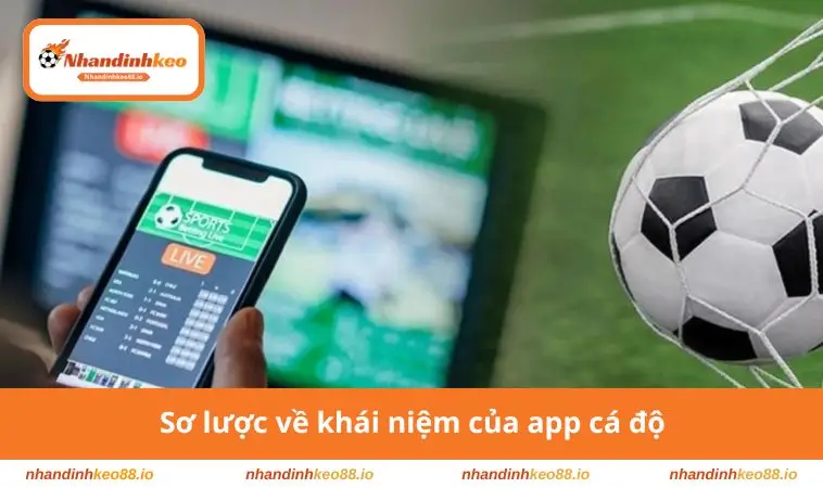 App Cá Độ Bóng Đá – Cập Nhật Tỷ Lệ, Lịch Thi Đấu Nhanh 2 Sơ lược về khái niệm của app cá độ