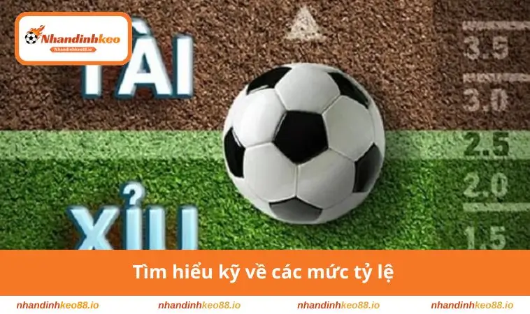 Tìm hiểu kỹ về các mức tỷ lệ 