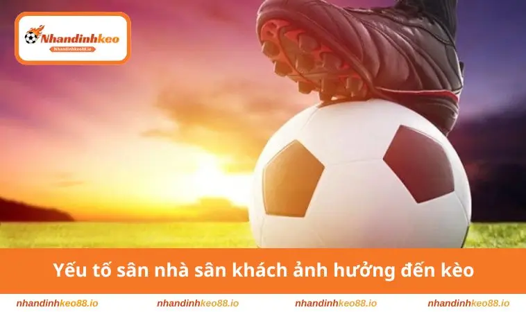 Kèo Châu Âu - Cách Đọc Và Phân Tích Chuẩn Xác Từ A-Z 3 Yếu tố sân nhà ảnh hưởng đến kèo